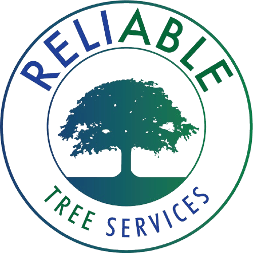 Reliable Tree Services